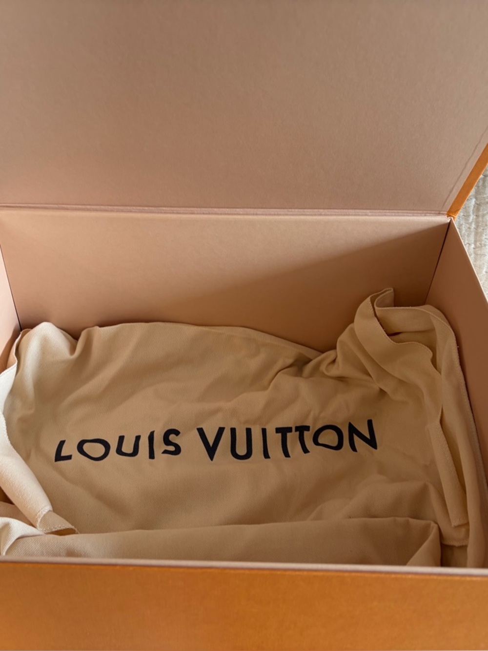 Louis Vuitton neonoe MM - Picture 11 of 14